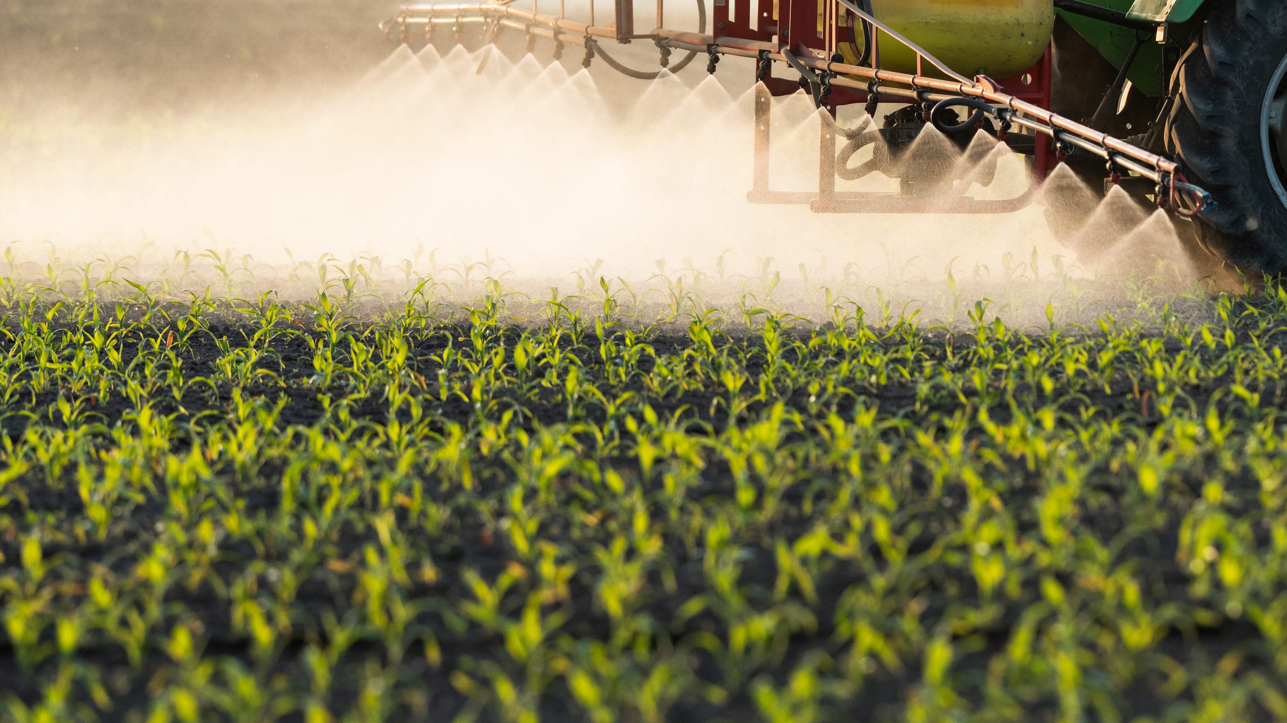 Tractor spraying pesticides at corn fields