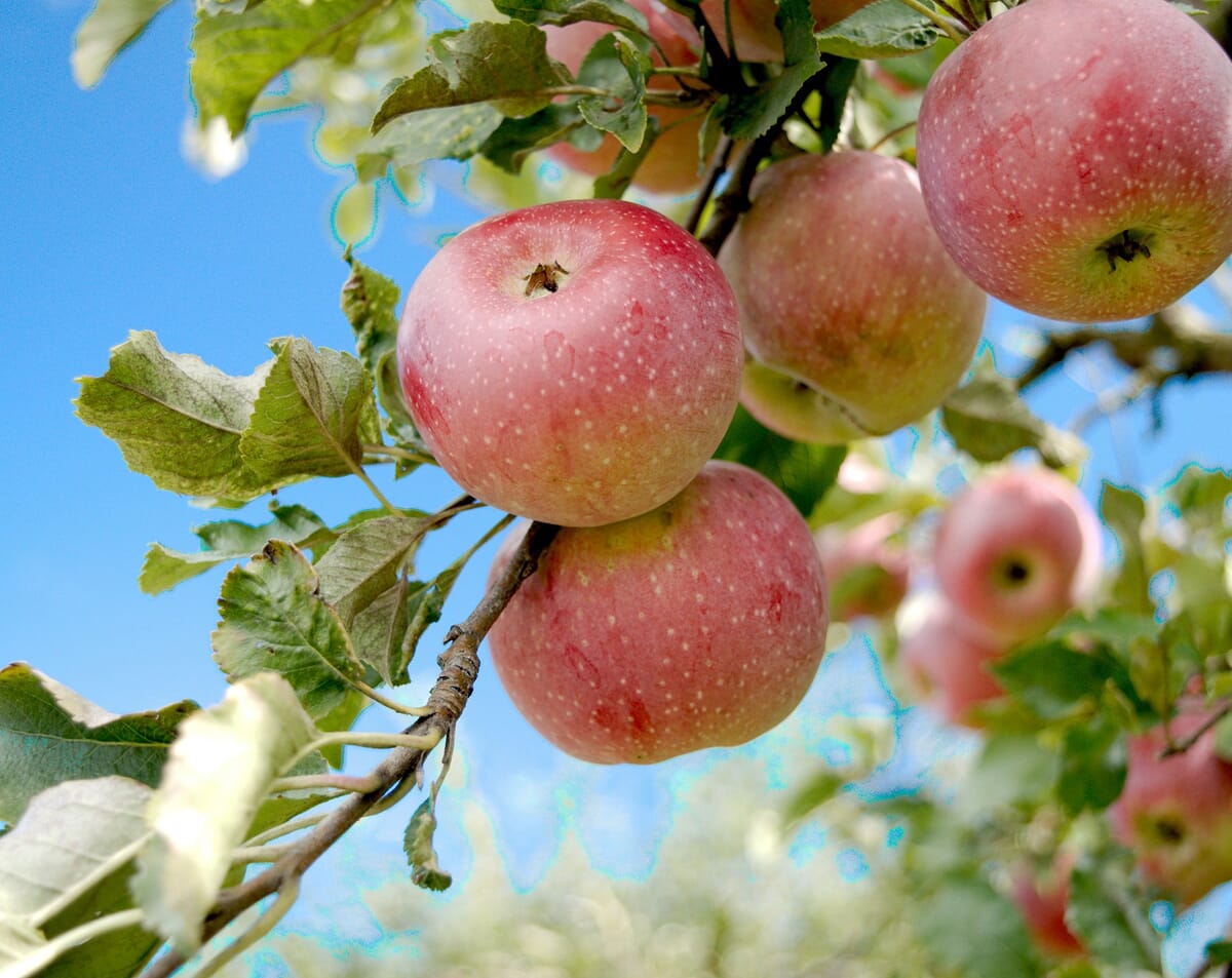 image-case-study-reassurance