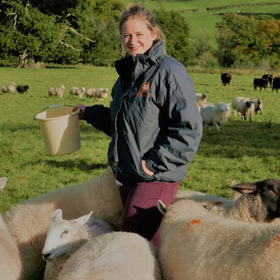 image-team-example-2