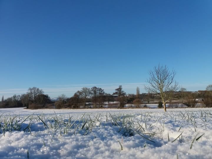 Snow