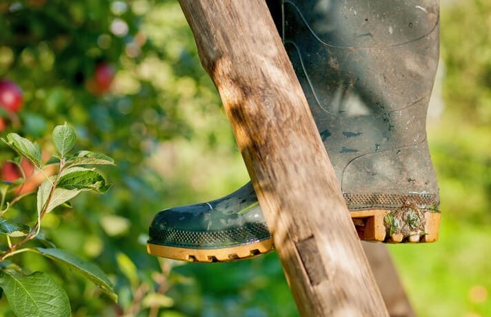 Farm-safety-initiative-focuses-on-working-at-height-Farming-UK-