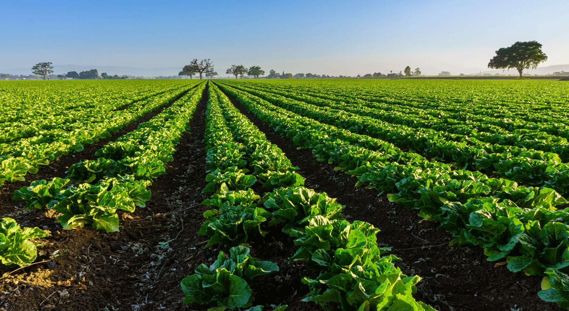 image-hero-reassurance