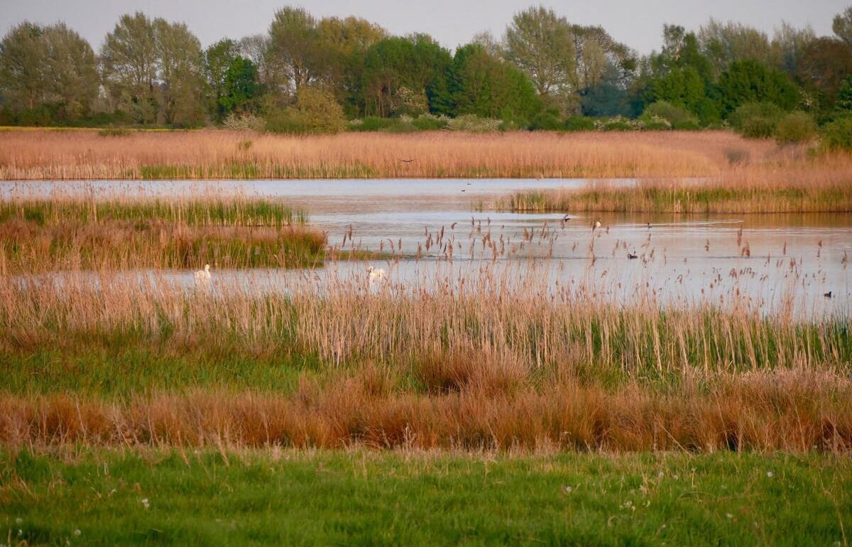 image-news-example-4