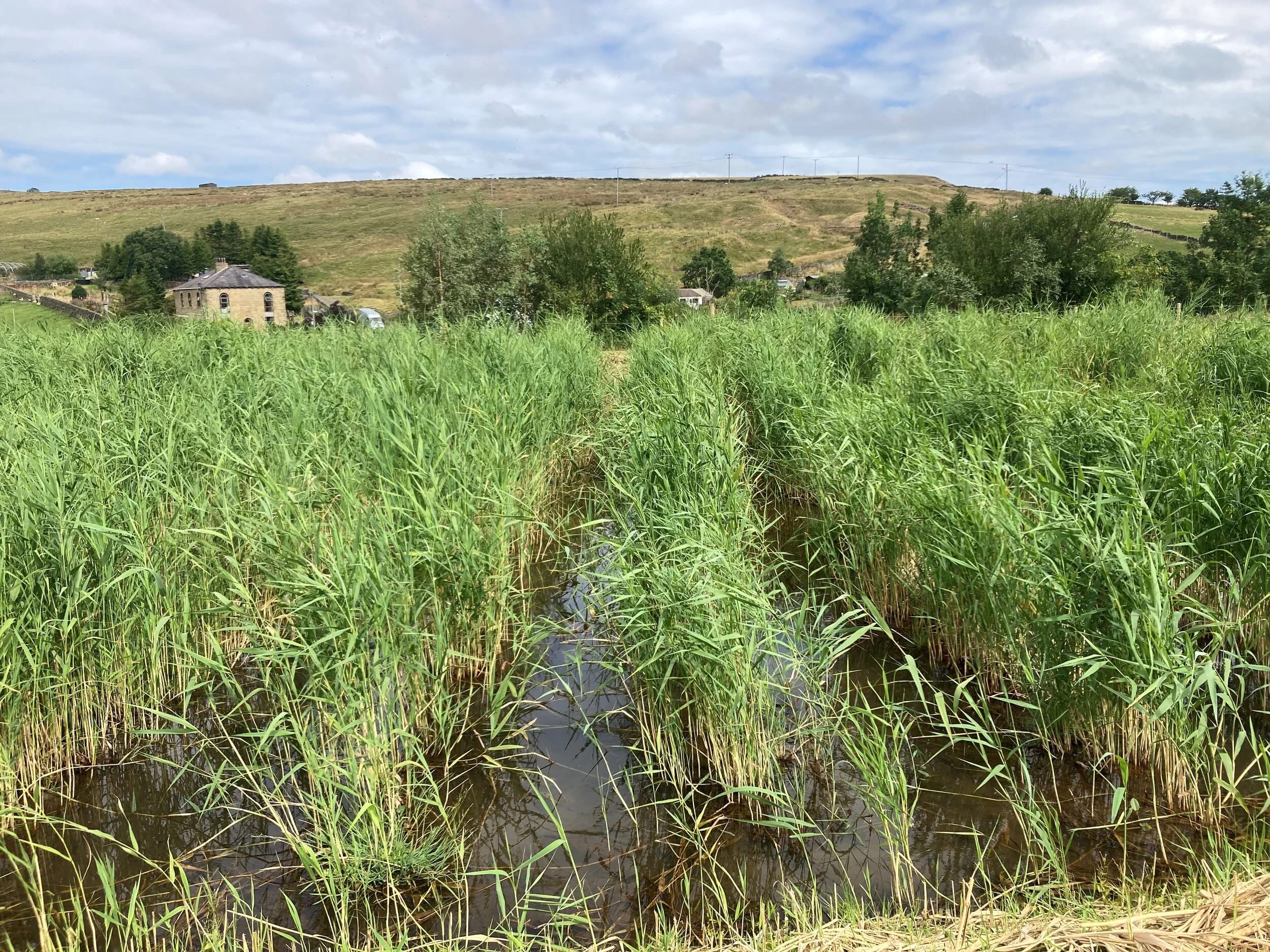 West-Yorkshire